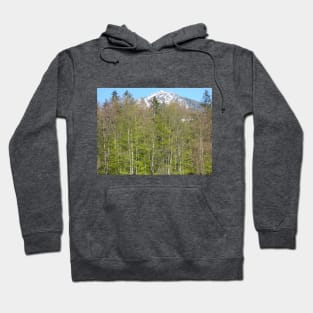 Alps 17 Hoodie